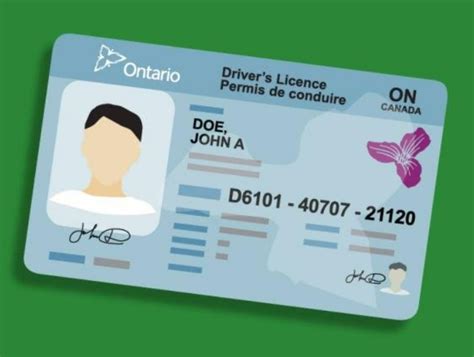 Ontario drivers license codes.  To renew, replace, change information, pay fines o...