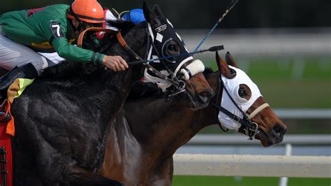 Ontario horse trainer suspended for suspicious death of racehorse