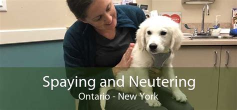 Ontario spay and neuter. Ontario Canine Spay Neuter Task Force Mission. To educate the public on the humane and ethical treatment of animals. To educate pet owners on the benefits of spaying and neutering their dogs. To minimize the unnecessary destruction of unwanted dogs. To reduce health risks caused by canine overpopulation in unserviced areas. 