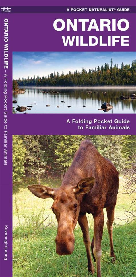 Ontario wildlife a folding pocket guide to familiar species pocket. - Graduate microeconomics longer study questions guide.