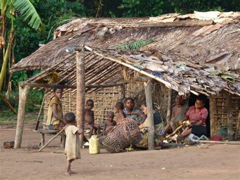 Ontdekking van een akoerio vrouw met twee kinderen in het oerwoud van zuid suriname. - Történelem szóbeli tételek emelt szintre készülőknek.
