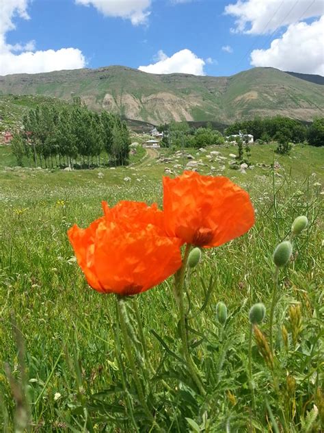 codini.rgarabwor.edu.pl. 