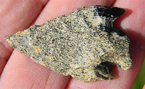 The chert that accompanies the sandy dolomite is varied and in part oolitic. The oolites occur in gray translucent chert and brown quartzose chert as well as in opaque chert. Some of the cherts are sandy, a feature that is characteristic of the Roubidoux.. 