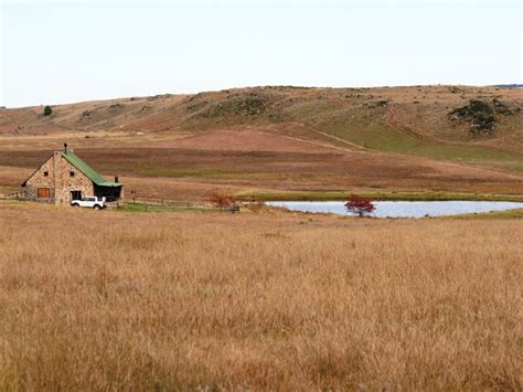 Oom Org, Holingsberg farm