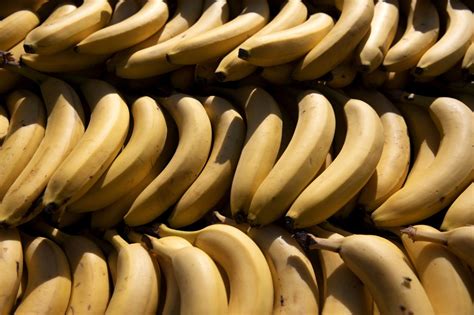 Op-ed: 5 billion bananas get thrown away each year