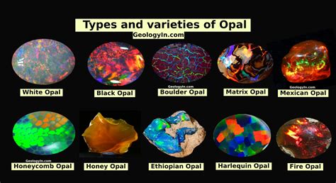 Opal.Onti Onlyfans Leaked [PPV] 🍌 186 Videos