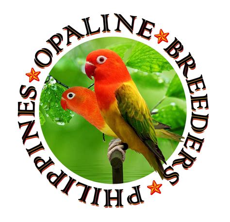 Opaline Breeders of the Philippines - Home - Facebook