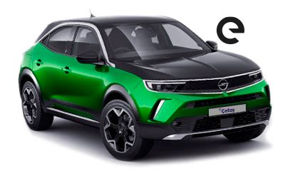 veodersti.rgarabwor.edu.pl. 