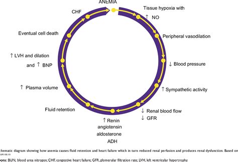 Open Access Full Text Article Anemia prevalence and …