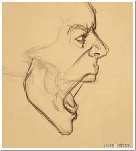 Open Mouth Side Profile Drawing