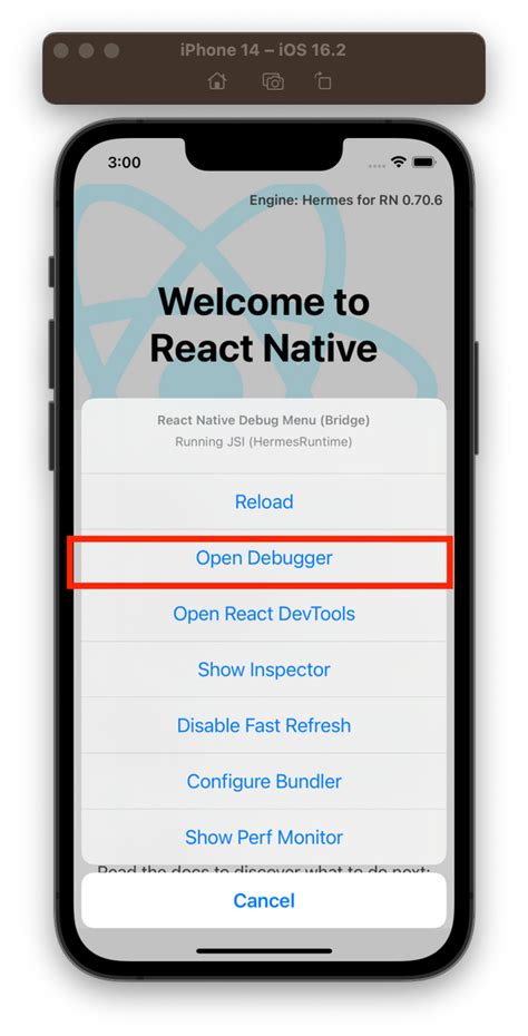 Open debugger in ios simulator react native.  In your AppDelegate I'm running a react nat...