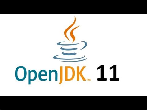 Open jdk 11. From either the browser Downloads window or from the file browser, double-click the .dmg file to start it. A Finder window appears that contains an icon of an open box and the name of the .pkg file. Double-click the JDK 11.pkg icon to start the installation application. The installation application displays the Introduction window. Click Continue. 