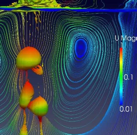 OpenFOAM Models & Constraints CFD Direct