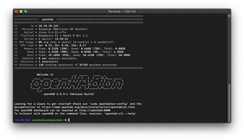 Openhabian check status.  My problem now is, I don&acute;t have any Idea how to start...
