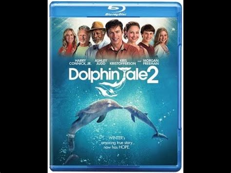 Opening To Dolphin Tale 2 2014 DVD - YouTube