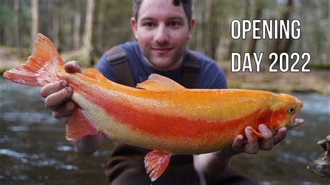 Opening day pa trout. Things To Know About Opening day pa trout. 