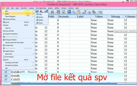 Opening spss files without spss.  Convert . .  See also: Open . SPV output ...