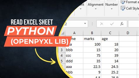 Openpyxl tutorial Handling Excel sheets in Python