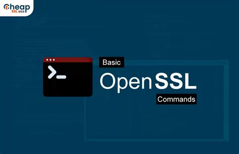 Openssl cms command. 6.  -text OpenSSL commands The openssl manpage provides a ...