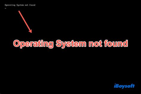 Operating system not found ne demek