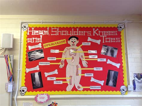 Operation Board Game Human Biology Display STEM