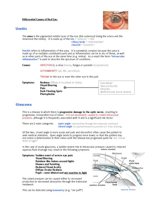 Ophthalmology notes pdf.  Case reports, tutorials, ophthalmology images and videos.  Many co...