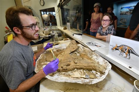 Opinion: Everyone wins when dinosaur fossils stay in the West