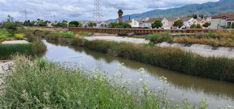 Opinion: Valley Water project protects Milpitas residents, businesses from flooding