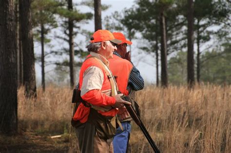 Opinion Quail Forever, Alabama Black Belt Adventures …