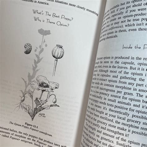 Opium for the masses a practical guide to growing poppies. - The best birth your guide to the safest healthiest most satisfying labor and delivery.