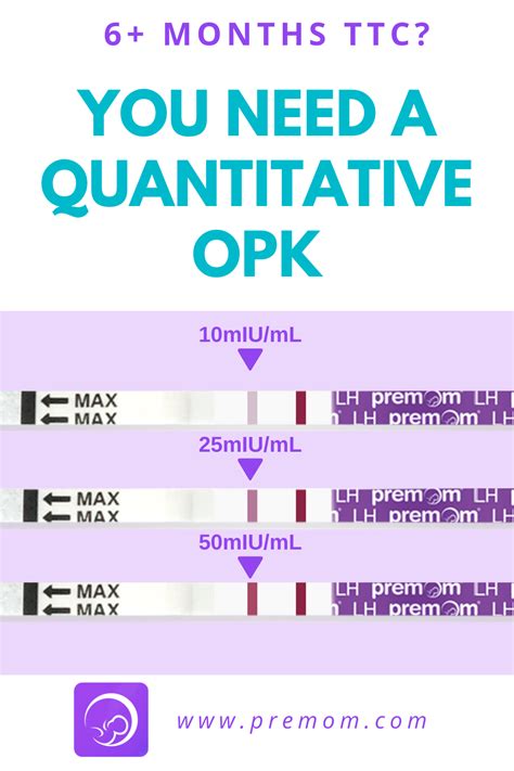 Opk ticker. Things To Know About Opk ticker. 