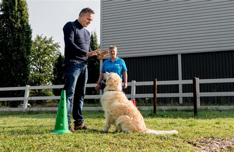 Opleiding Honden & Kattenpension Starten - Ondernemersschool