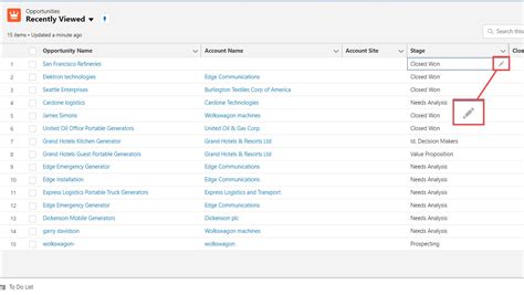 Opportunity Stage Picklist Value Attributes - Salesforce