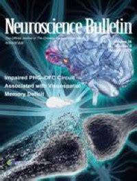 Optical Brain Imaging: A Powerful Tool for Neuroscience