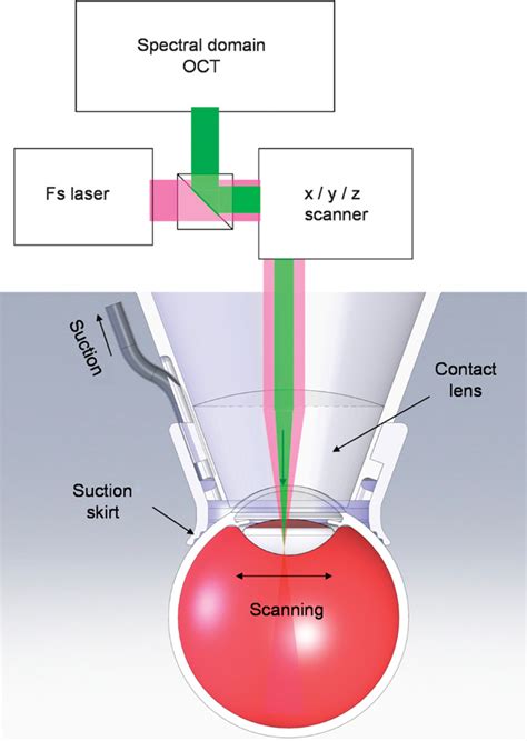 Optical Coherence Tomography Science