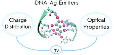 Optical properties and charge distribution in rod-shape DNA–silver …