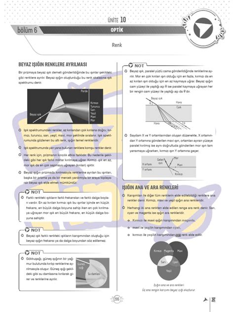 codini.rgarabwor.edu.pl. 