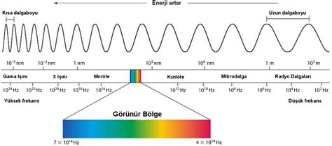 Optik ve Dalga optikleri.