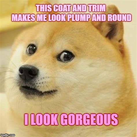 Optimism Doge