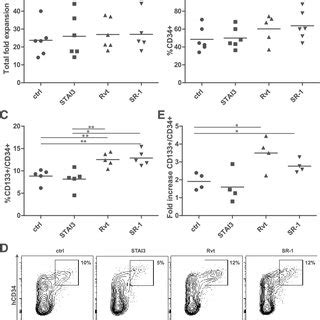 Optimization of SCF feeding regimen for ex vivo expansion of cord blood …