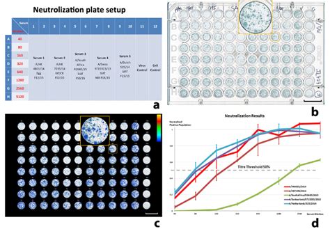 Optimization of a Quantitative Micro-neutralization Assay. 