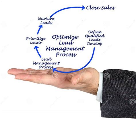 Optimize Lead Management Process Stock Image Image of process, male