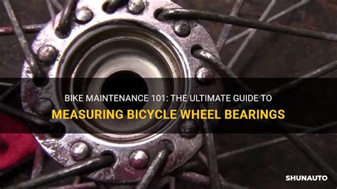 Optimize Your Ride: The Ultimate Guide to Bicycle Wheel Bearings