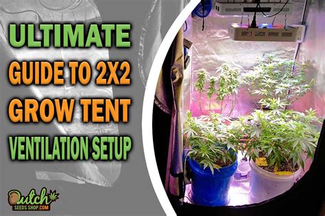 Optimize Your Small Growing Space with a 2x2 Grow Tent Setup