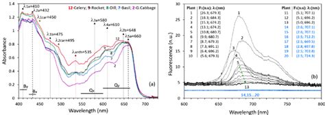 Optimized RED spectral band Fluorescence of edible …