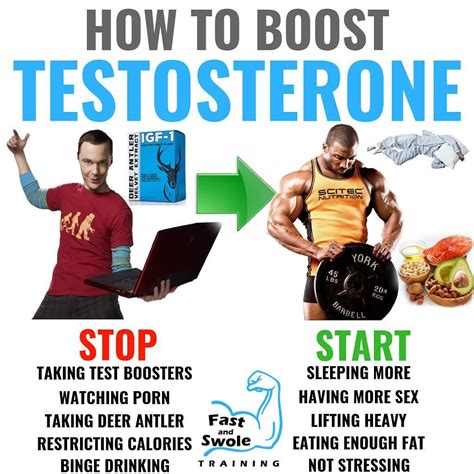 Full Download Optimized Under 35 How To Boost Testosterone Increase Your Sex Drive And Achieve Incredible Health By Daniel Kelly