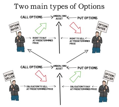 Options Basics 