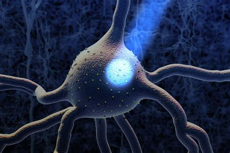 Optogenetics News, Research