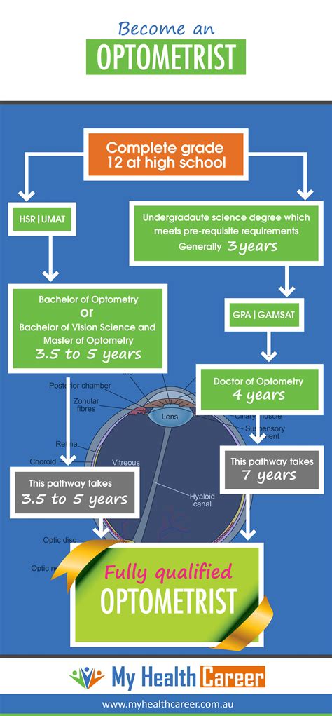 Optometrist education requirements.  Optometry Degrees, Becoming an Optome...