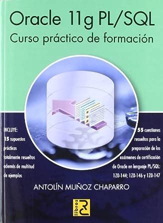 Oracle 11g sql curso pr193ctico de formaci211n spanish edition. - Liebherr d934 a6 936 a6 dieselmotor service handbuch.